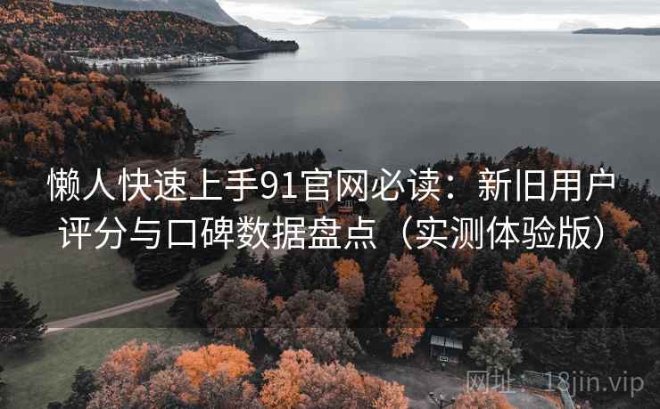懒人快速上手91官网必读：新旧用户评分与口碑数据盘点（实测体验版）