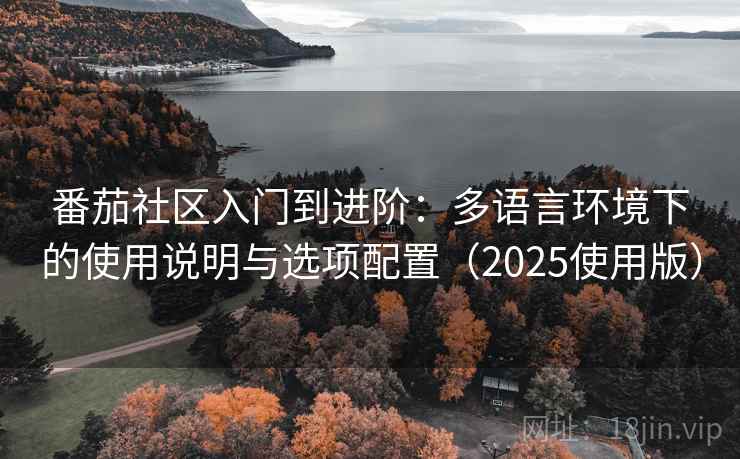 番茄社区入门到进阶：多语言环境下的使用说明与选项配置（2025使用版）