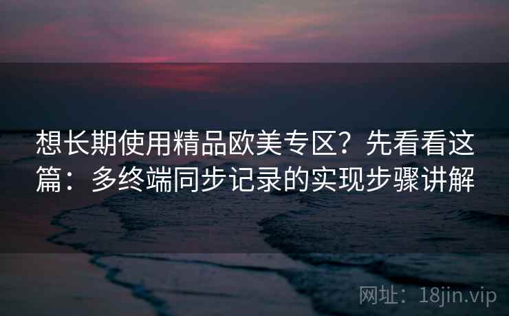 想长期使用精品欧美专区？先看看这篇：多终端同步记录的实现步骤讲解