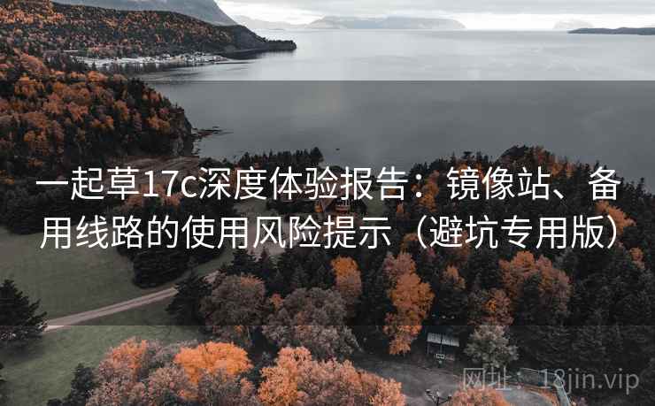 一起草17c深度体验报告：镜像站、备用线路的使用风险提示（避坑专用版）