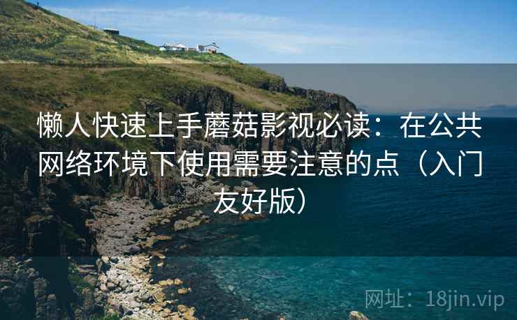 懒人快速上手蘑菇影视必读：在公共网络环境下使用需要注意的点（入门友好版）