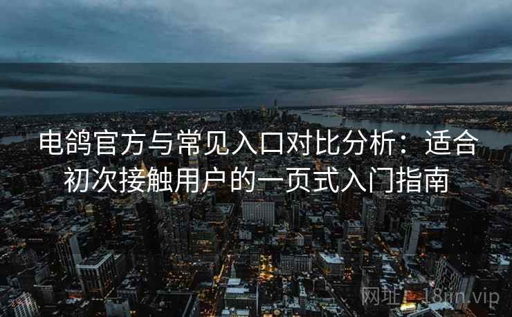 电鸽官方与常见入口对比分析：适合初次接触用户的一页式入门指南