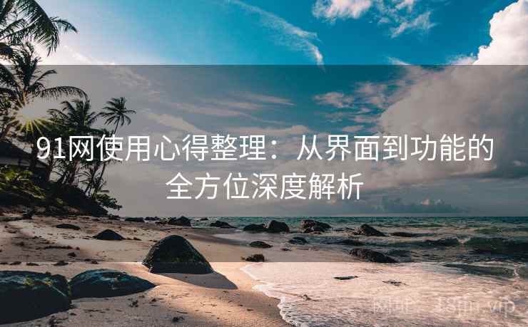 91网使用心得整理：从界面到功能的全方位深度解析
