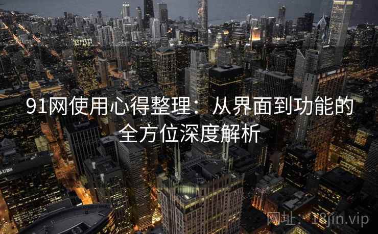 91网使用心得整理：从界面到功能的全方位深度解析