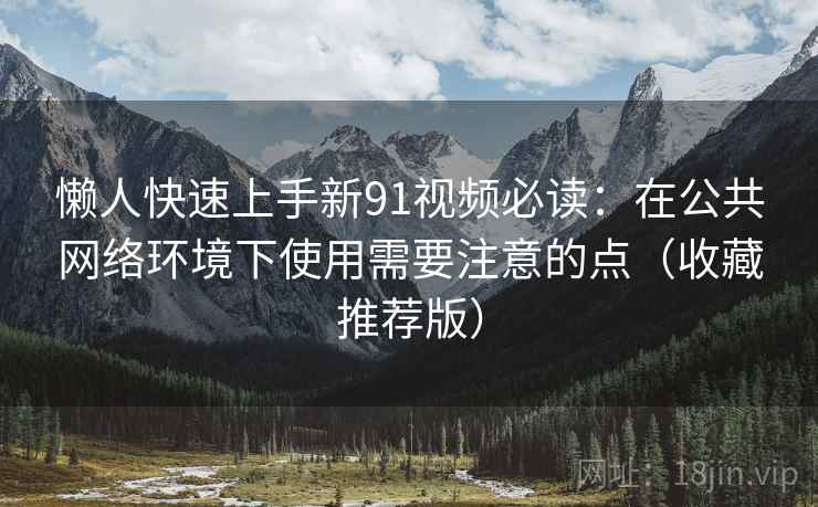 懒人快速上手新91视频必读：在公共网络环境下使用需要注意的点（收藏推荐版）