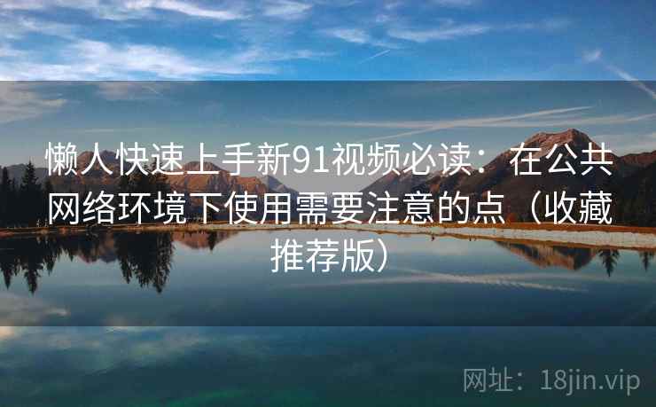 懒人快速上手新91视频必读：在公共网络环境下使用需要注意的点（收藏推荐版）