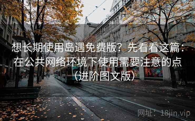 想长期使用岛遇免费版？先看看这篇：在公共网络环境下使用需要注意的点（进阶图文版）