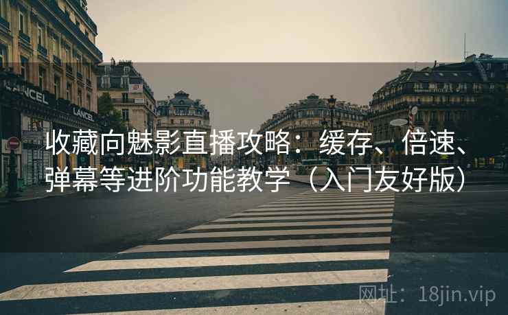 收藏向魅影直播攻略：缓存、倍速、弹幕等进阶功能教学（入门友好版）