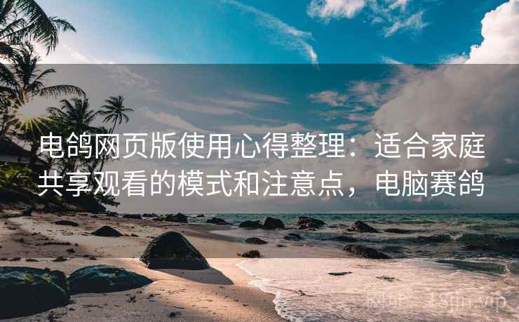 电鸽网页版使用心得整理：适合家庭共享观看的模式和注意点，电脑赛鸽