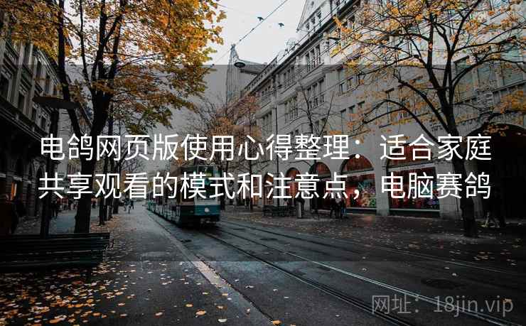 电鸽网页版使用心得整理：适合家庭共享观看的模式和注意点，电脑赛鸽