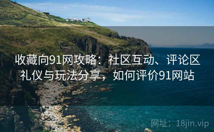 收藏向91网攻略：社区互动、评论区礼仪与玩法分享，如何评价91网站