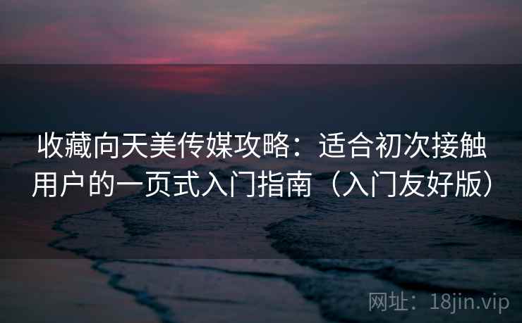 收藏向天美传媒攻略：适合初次接触用户的一页式入门指南（入门友好版）